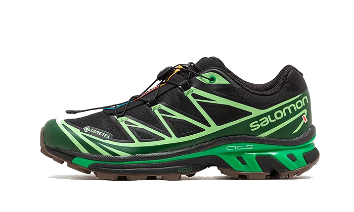 Advanced XT-6 Gore-Tex Eden Green Ash